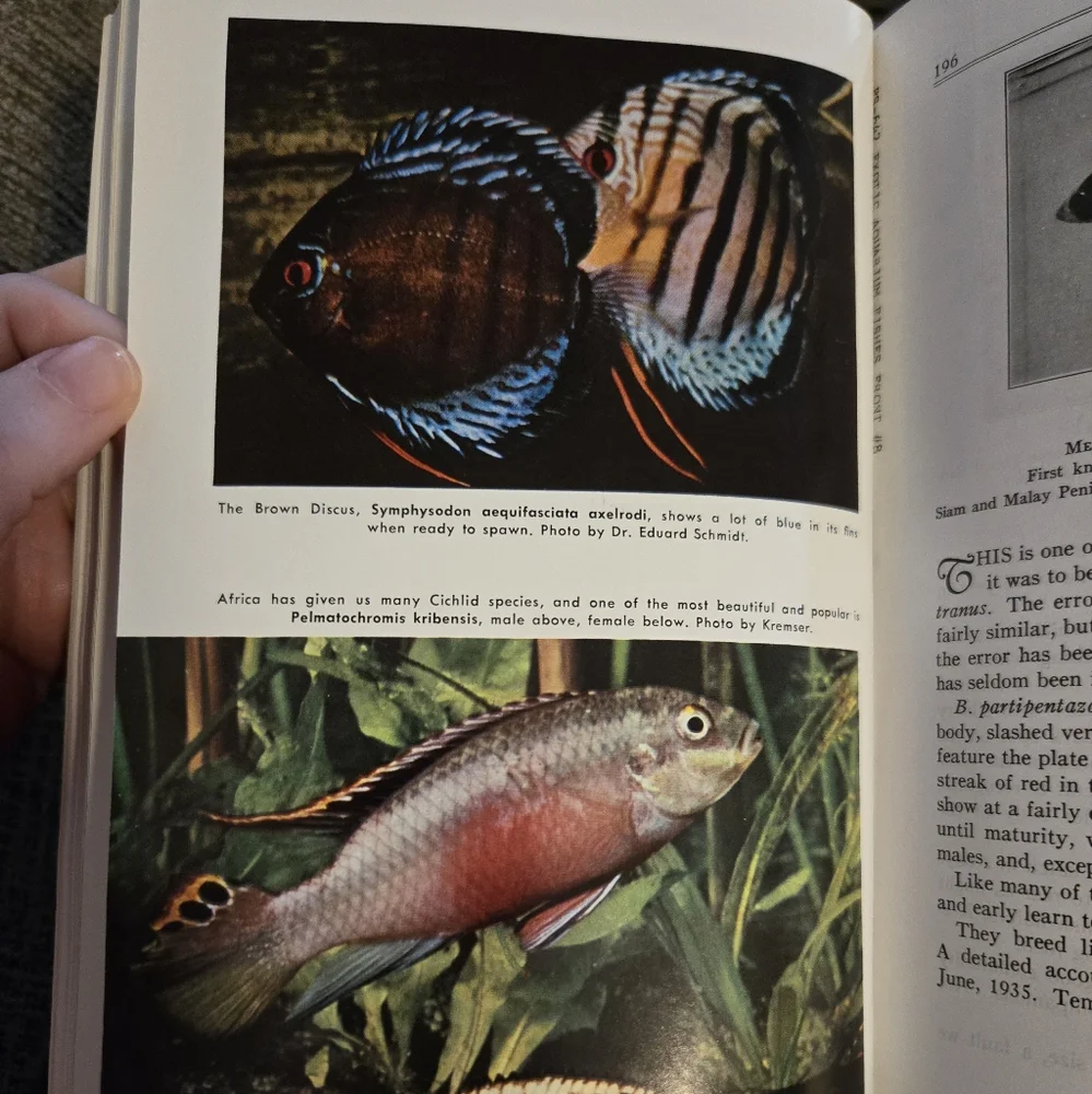 Exotic Aquarium Fishes by Dr. William T. Innes VINTAGE HARDCOVER 1979